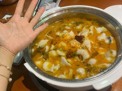 -龙梅肥肠鱼(明瓦廊店)