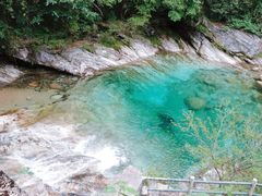 -自游人·美食一楼·地道徽菜(三十年名店)