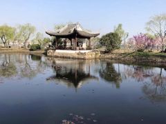 -无锡蠡湖国家湿地公园-蠡园