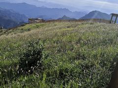 -白草畔自然风景区