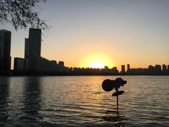 -天鹅湖体育公园