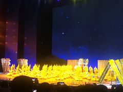 -澜沧江湄公河之夜歌舞篝火晚会