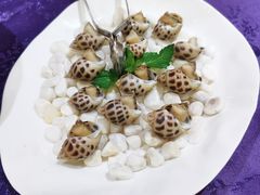 酒糟小花螺-惠食佳·朱雀(东方商厦店)