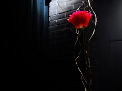 -格兰酒吧Glen Bar