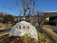 -黄海国家森林公园