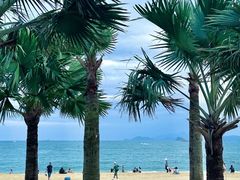 -大梅沙海滨公园