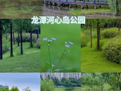 -潜山国家森林公园