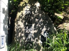 -石排湾郊野公园
