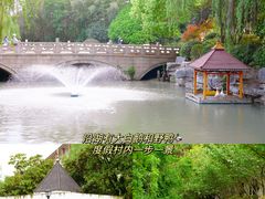 -同里湖度假村(二期店)