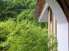 -蜀南竹海景区