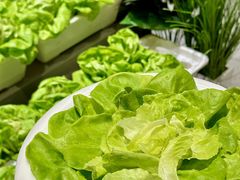 -九孔·筒骨莲藕汤锅(大明宫万达店)