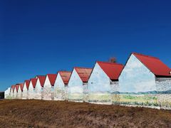 -塞罕坝国家级自然保护区