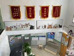 -爱侣宠医·鹦鹉专科·小型哺乳类·异宠专科(灵石路店)