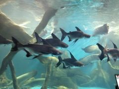 -多彩贵州城极地海洋世界