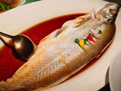 -醉庐·新上海菜(南京西路店)