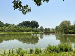 -东郊湿地公园