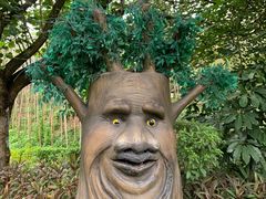 -森波拉奇妙世界