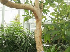 -国家植物园