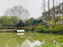 -上海醉白池公园