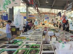 -外伶仃岛海鲜市场