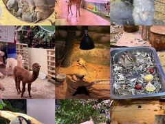 -正佳雨林生态植物园