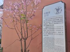 -乌山风景区
