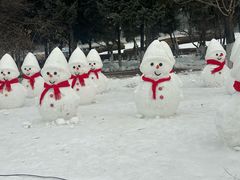 -沈阳奥体冰雪嘉年华