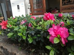 -丽江庭院之爱在路上(西单店)