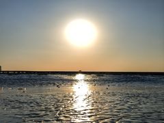 -敕勒川草原文化旅游区