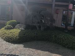 -传统菜农庄(皇姑路店)