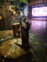 -Zoolung Zoolung动物主题公园(海信广场店)