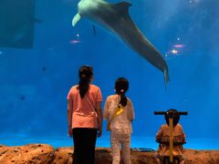 -华夏文旅海洋公园