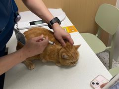 -瑞派康怡24h宠物医院·犬猫医疗中心·微创绝育(瑞景分院)