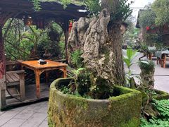 -青城甲(青城山店)