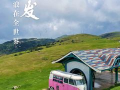 -仰天湖大草原