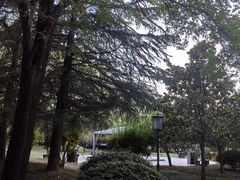 -唐城墙遗址公园