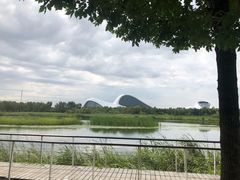 -哈尔滨大剧院