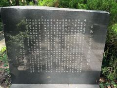 -上海佘山国家森林公园天马山园