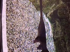 -迪拜水族馆及水下动物园