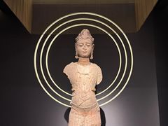 -四川大学博物馆