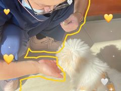 -艾贝尔宠物医院 ·内科全科(梁溪路店)