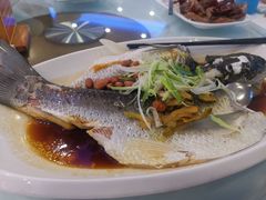 清蒸桂花鱼-潮喜竹溪荔湖酒家(荔枝湾店)