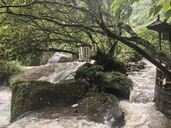 -赤水丹霞旅游区·佛光岩