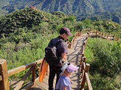 -大岭沟猕猴桃谷风景区