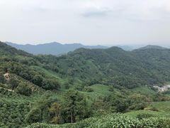 -美兰湖景区