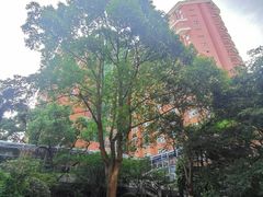 -复旦大学附属中山医院(西院区)