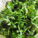 到了清明该做艾青饺子啦！