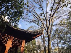 -秋霞圃