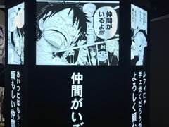 -东京塔海贼王主题公园