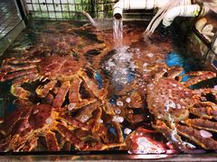 -蛇口市场